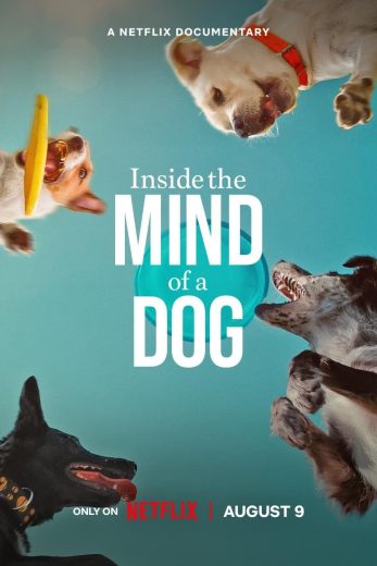 فيلم Inside the Mind of a Dog 2024 مترجم