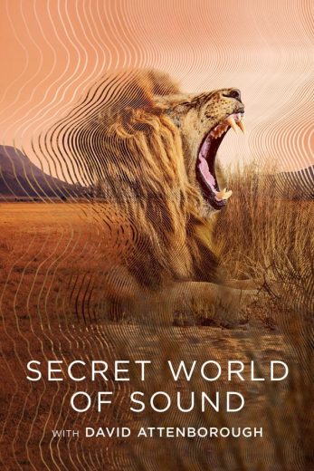 مسلسل Secret World of Sound with David Attenborough الحلقة 1 مترجمة