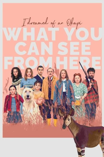 فيلم What You Can See from here 2024 مترجم